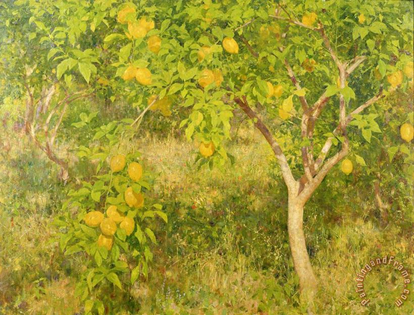 The Lemon Tree painting - Henry Scott Tuke The Lemon Tree Art Print