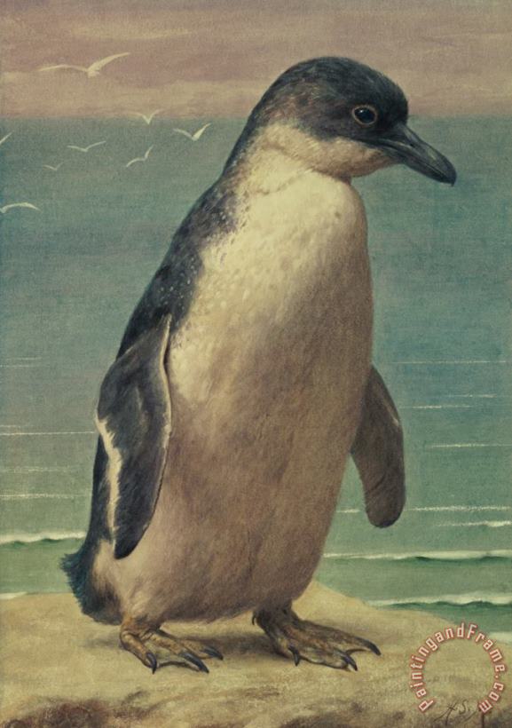 Henry Stacey Marks Study of a Penguin Art Painting