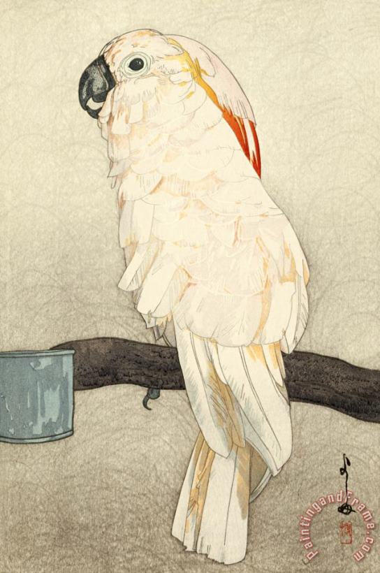 Obatan Parrot (dobutsu En, Obatan Omu), From The Zoological Garden Series painting - Hiroshi Yoshida Obatan Parrot (dobutsu En, Obatan Omu), From The Zoological Garden Series Art Print