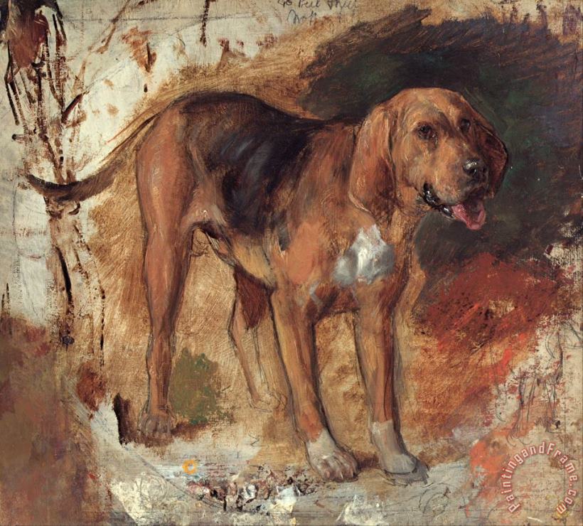 Holman Hunt Study of a Bloodhound Art Painting