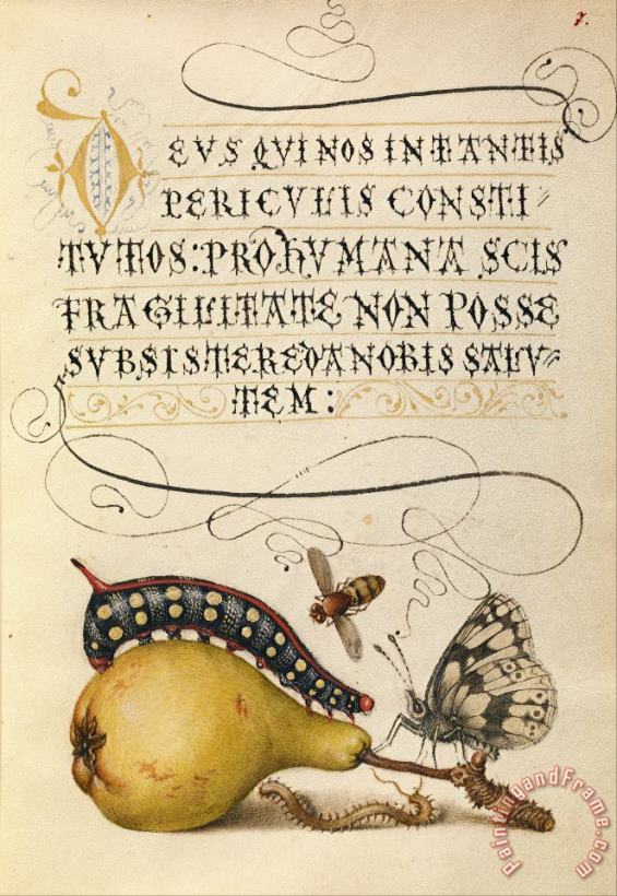 Hungarian Fly, Caterpillar, Pear, And Centipede Art Painting