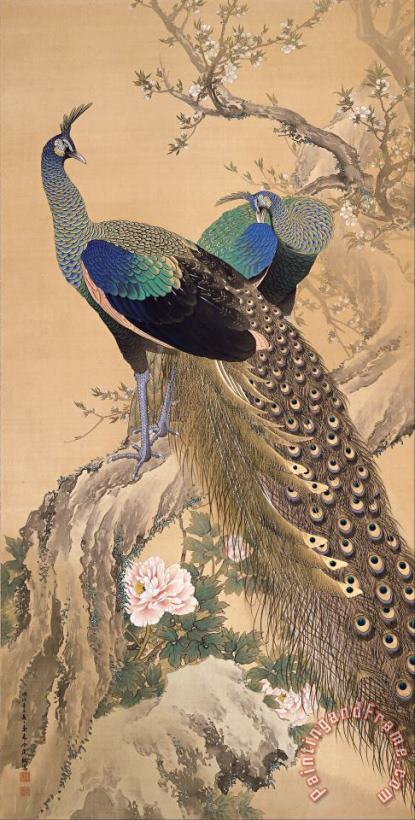 Imao Keinen A Pair of Peacocks in Spring Art Painting
