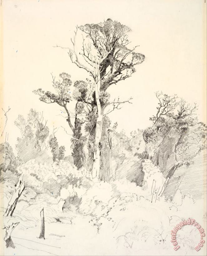 J. C. Richmond Detribalized Natives, Taranaki Art Print