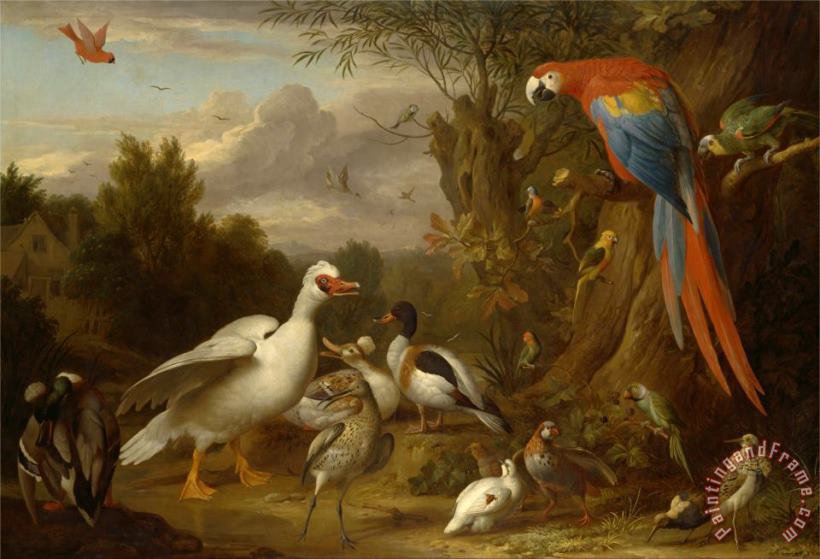 Jacob Bogdani A Macaw, Ducks, Parrots And Other Birds in a Landscape Art Painting