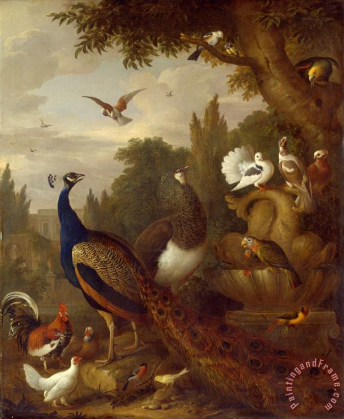 Peacock, Peahen, Parrots, Canary, And Other Birds in a Park painting - Jacob Bogdani Peacock, Peahen, Parrots, Canary, And Other Birds in a Park Art Print