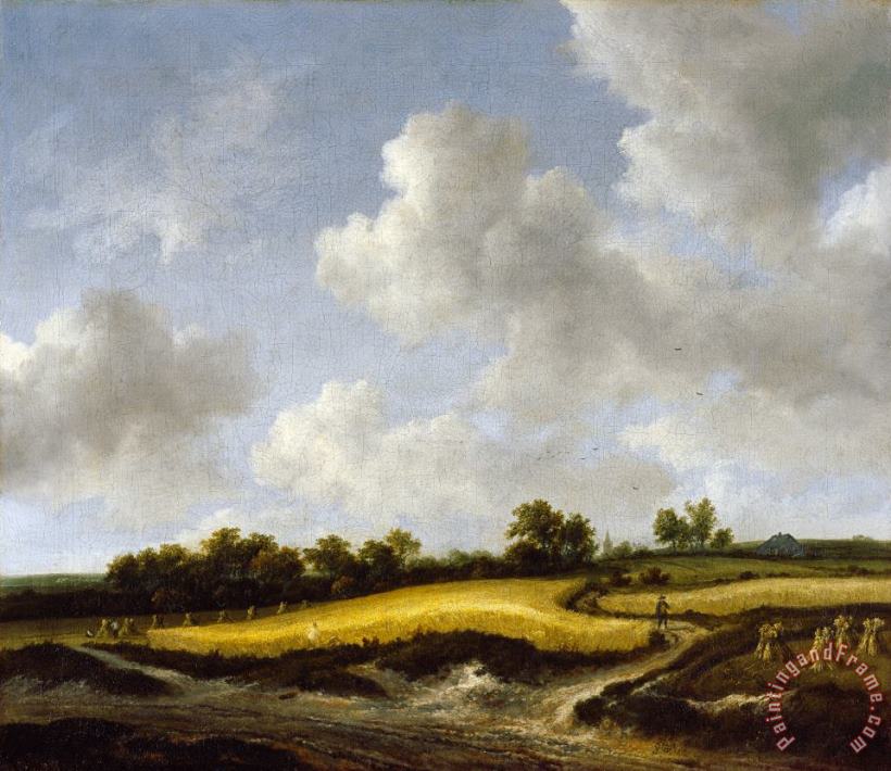Jacob Isaacksz. Van Ruisdael Landscape with a Wheatfield Art Painting
