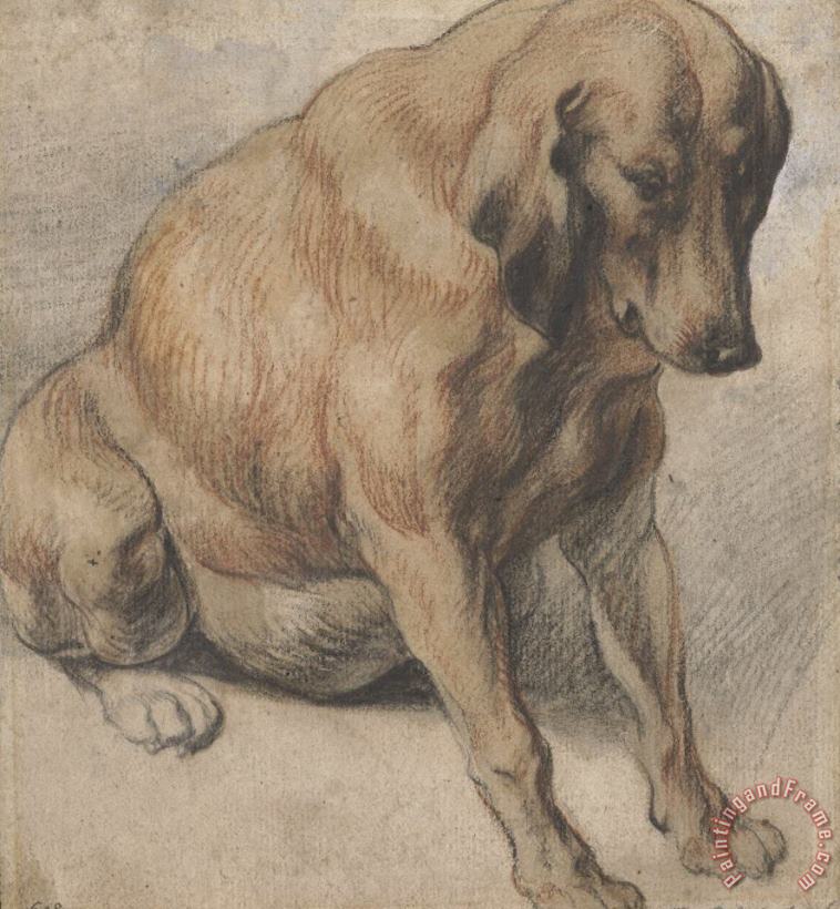 Zittende Zwangere Hond painting - Jacob Jordaens Zittende Zwangere Hond Art Print