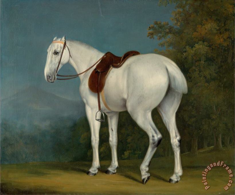 A Lady's Grey Hunter painting - Jacques-Laurent Agasse A Lady's Grey Hunter Art Print