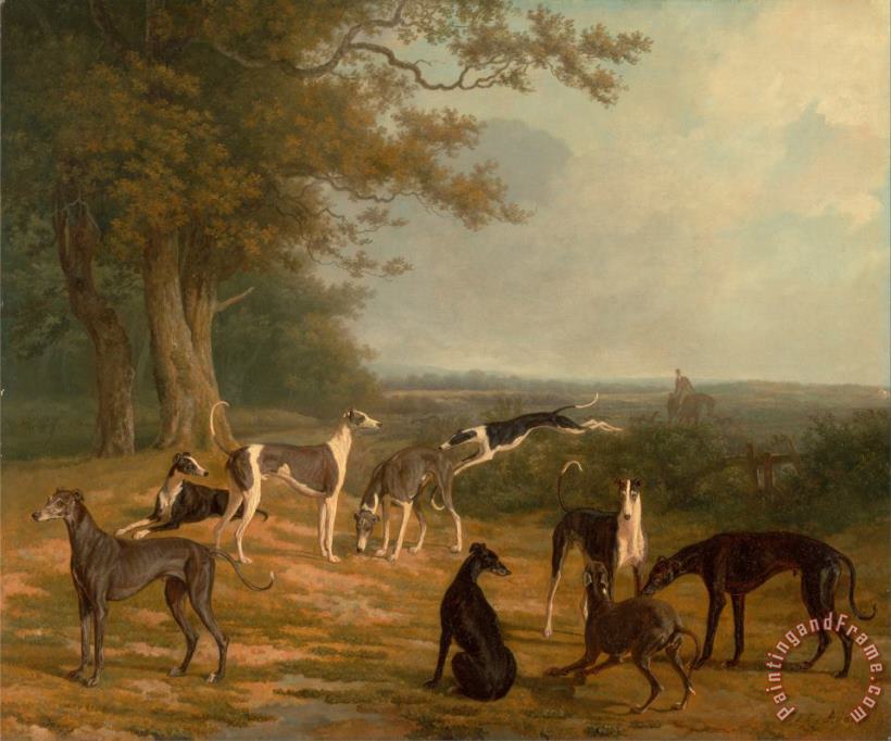 Nine Greyhounds in a Landscape painting - Jacques-Laurent Agasse Nine Greyhounds in a Landscape Art Print
