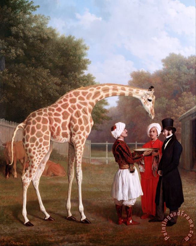 Nubian Giraffe painting - Jacques-Laurent Agasse Nubian Giraffe Art Print