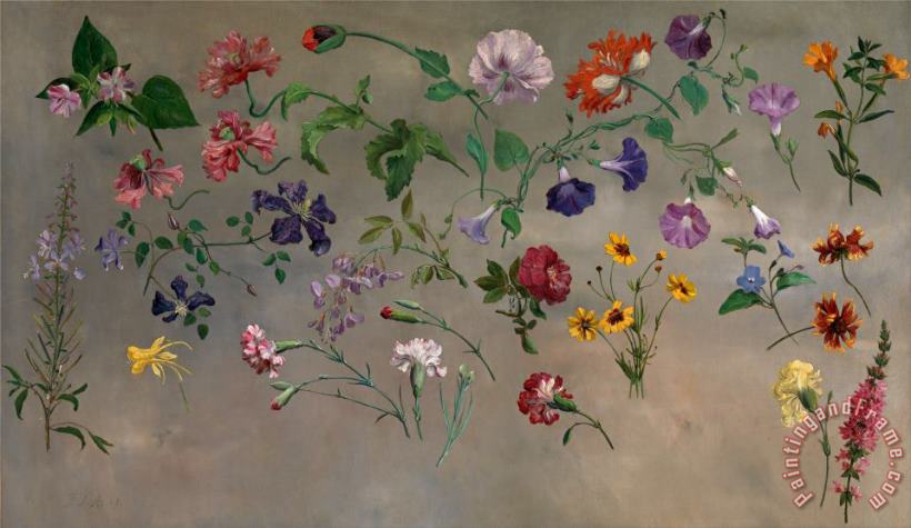 Studies of Flowers painting - Jacques-Laurent Agasse Studies of Flowers Art Print