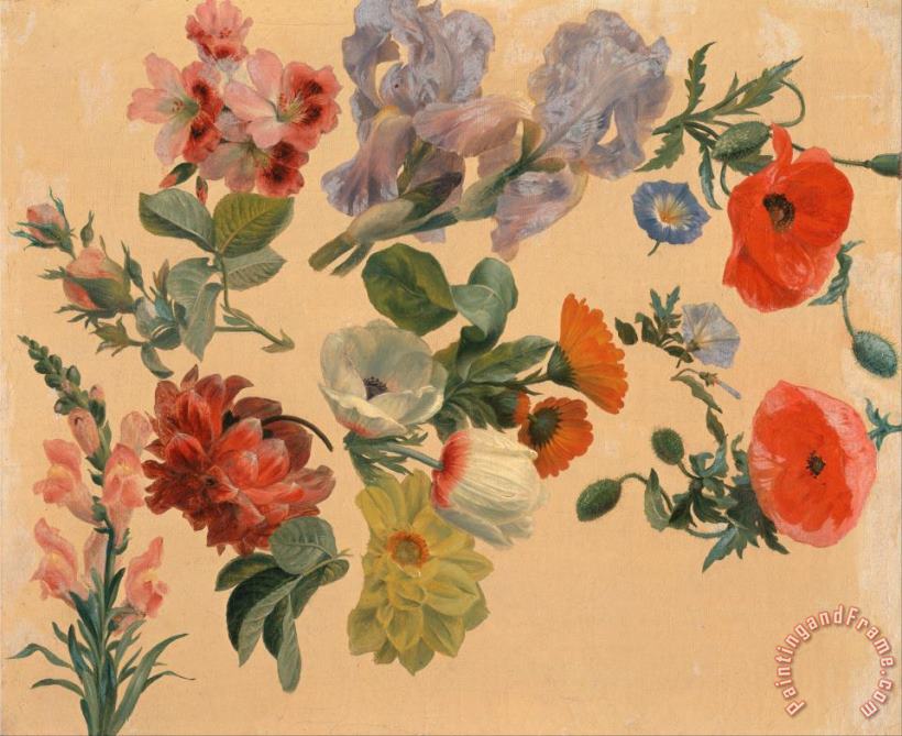 Jacques-Laurent Agasse Studies of Summer Flowers Art Print