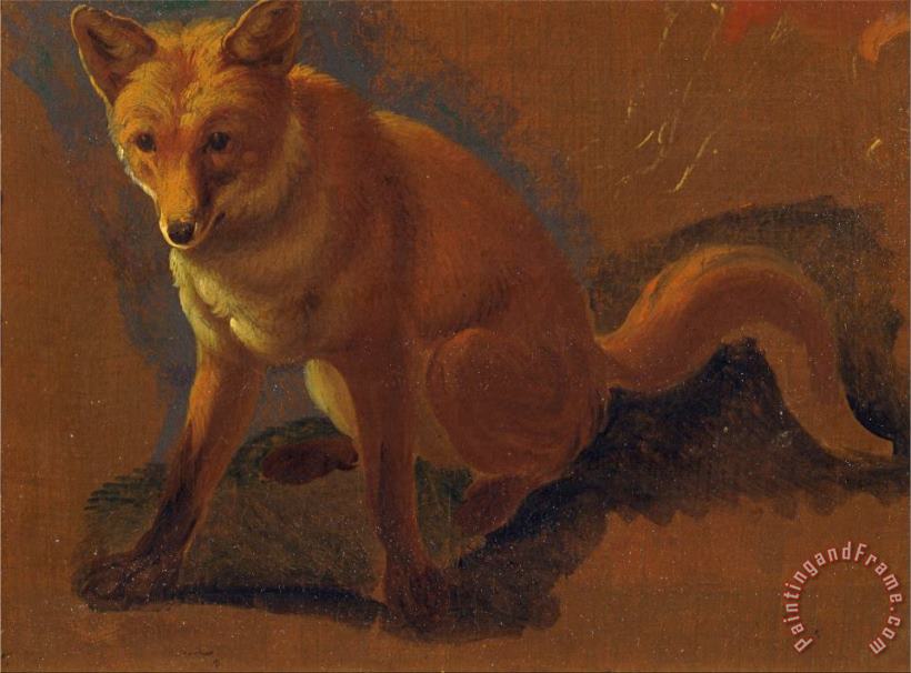 Study of a Fox painting - Jacques-Laurent Agasse Study of a Fox Art Print