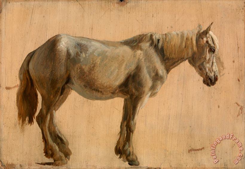 Jacques-Laurent Agasse Study of a Grey Horse Art Painting