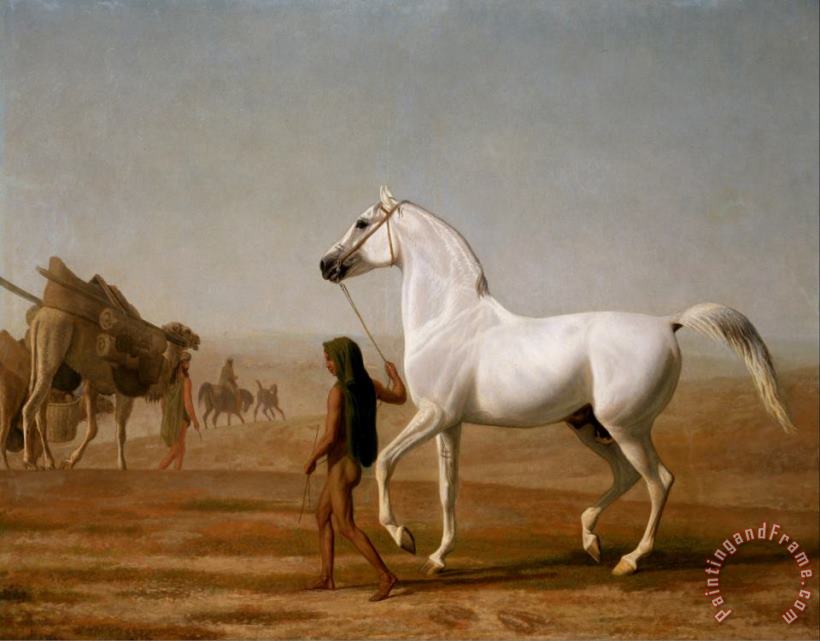 The Wellesley Grey Arabian Led Through The Desert painting - Jacques-Laurent Agasse The Wellesley Grey Arabian Led Through The Desert Art Print