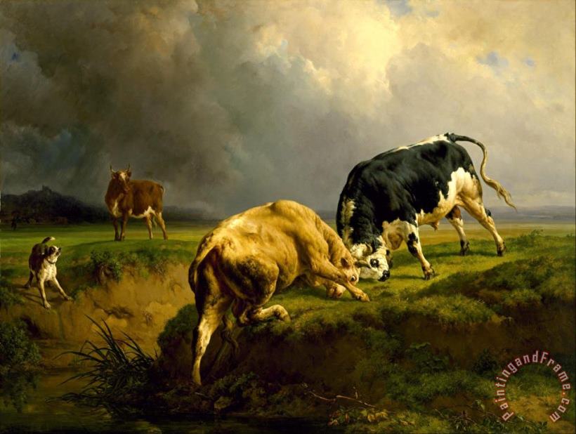 A Bull Fight painting - Jacques-Raymond Brascassat A Bull Fight Art Print