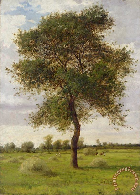 Study of an Ash Tree in Summer painting - James Hey Davies Study of an Ash Tree in Summer Art Print