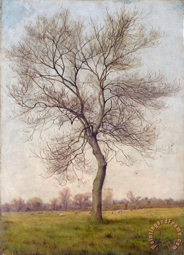 Study of an Ash Tree in Winter painting - James Hey Davies Study of an Ash Tree in Winter Art Print