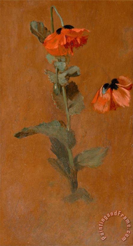 James Inskipp Study of Poppies Art Painting