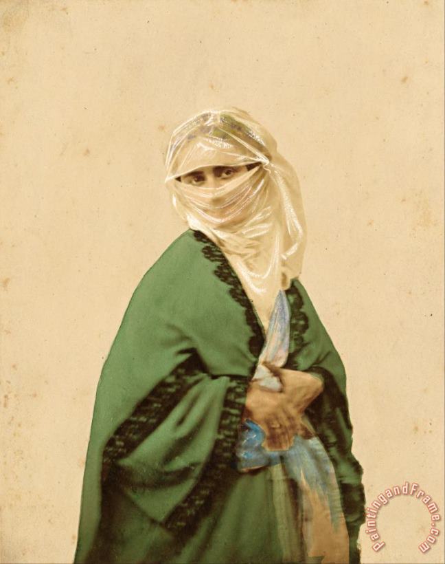 James Robertson  A Turkish Woman in Outdoor Dress Art Print