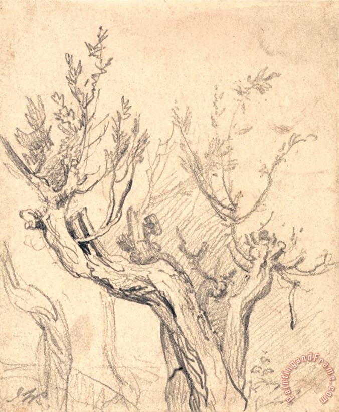 A Gnarled Tree painting - James Ward A Gnarled Tree Art Print