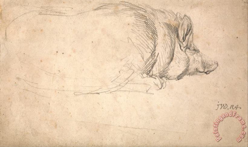 James Ward A Hog, Sleeping Art Print