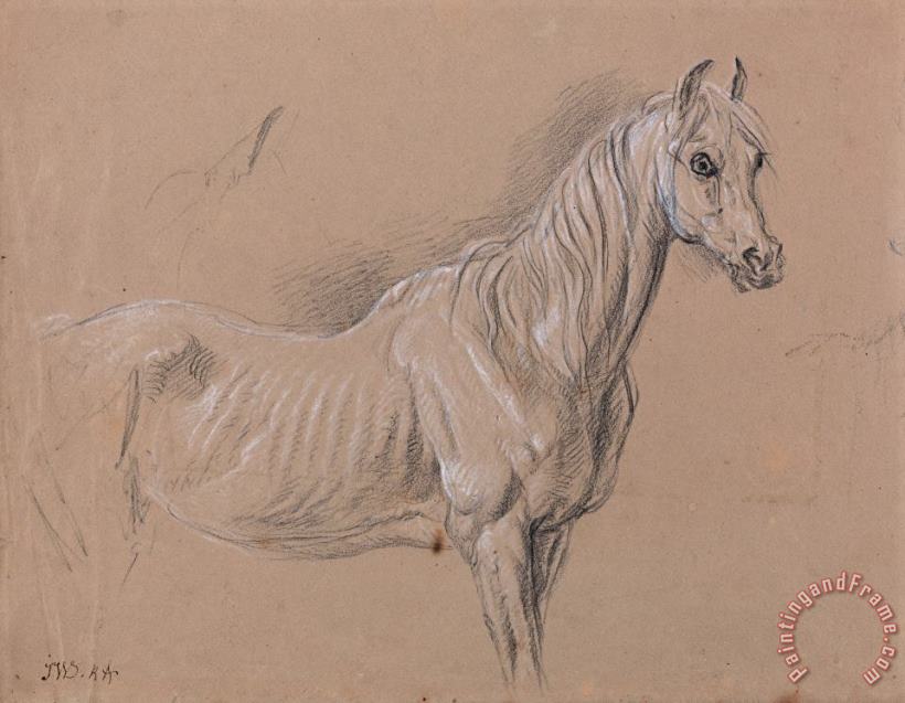 A Mare Possibly a Study for 