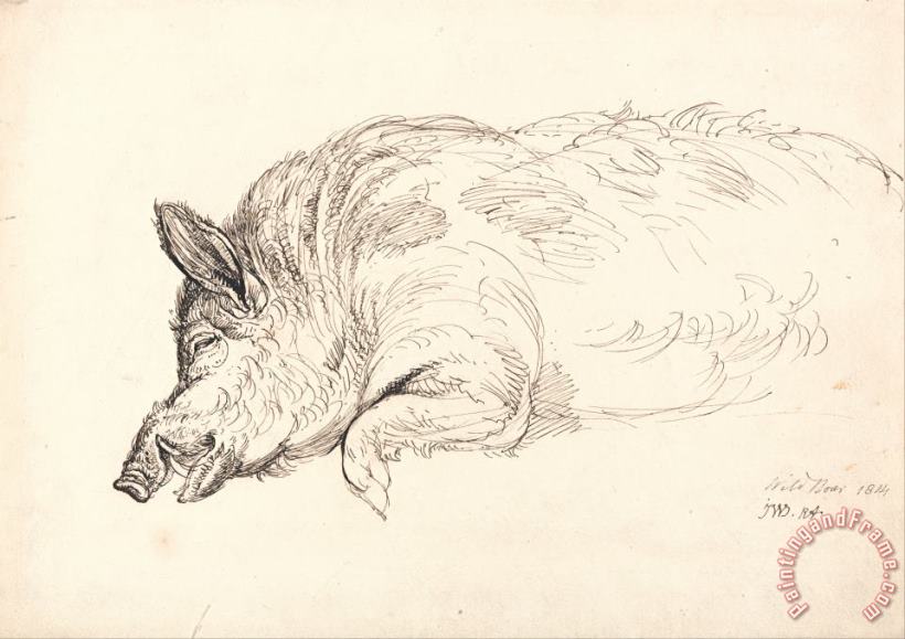 A Wild Boar, Asleep Or Dead painting - James Ward A Wild Boar, Asleep Or Dead Art Print