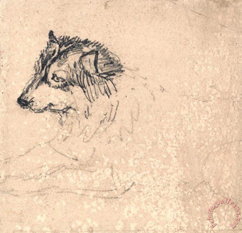 Arctic Dog, Facing Left painting - James Ward Arctic Dog, Facing Left Art Print