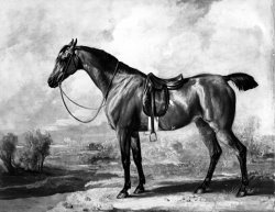 James Ward Bay Hunter