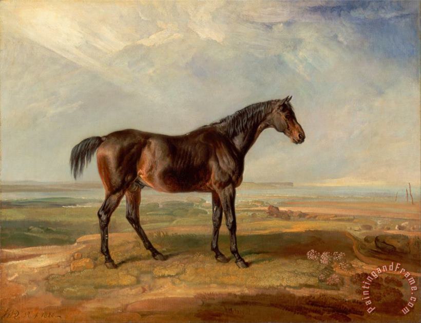 Dr. Syntax, a Bay Racehorse, Standing in a Coastal Landscape, an Estuary Beyond painting - James Ward Dr. Syntax, a Bay Racehorse, Standing in a Coastal Landscape, an Estuary Beyond Art Print
