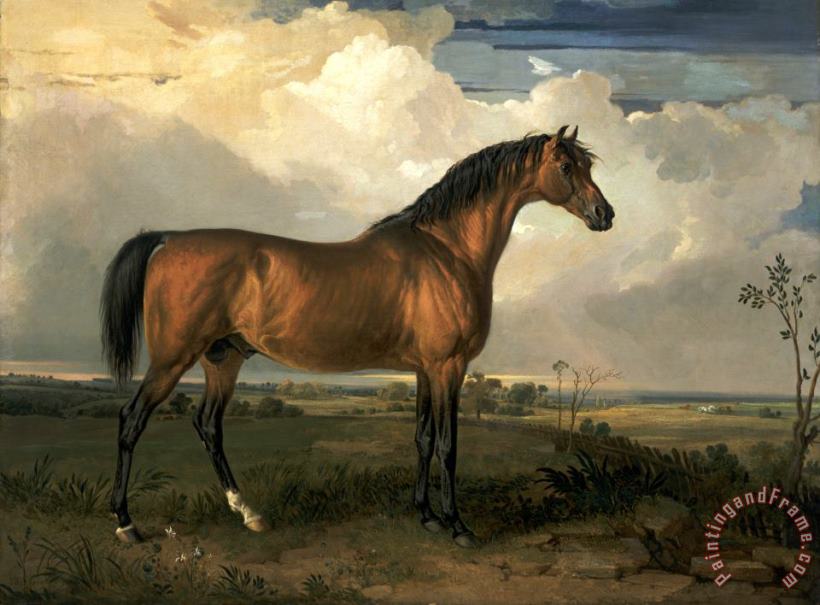 James Ward Eagle, a Celebrated Stallion Art Print