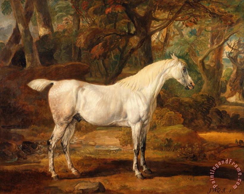 James Ward Grey Arabian Stallion, The Property of Sir Watkin Williams Wynn Art Print