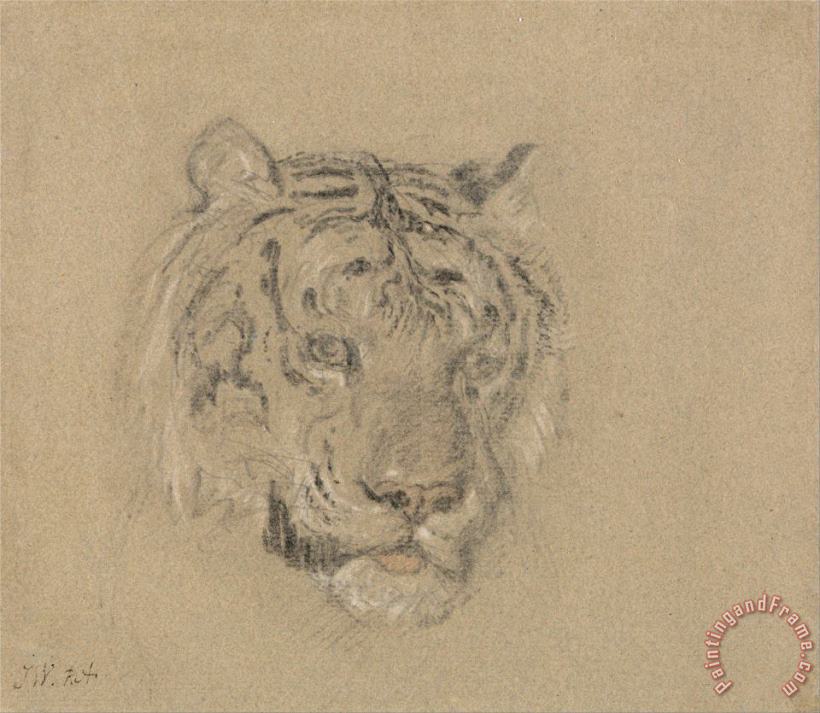 Head of a Tiger painting - James Ward Head of a Tiger Art Print
