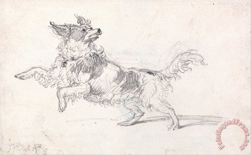 Lady Londonderry's Dog painting - James Ward Lady Londonderry's Dog Art Print