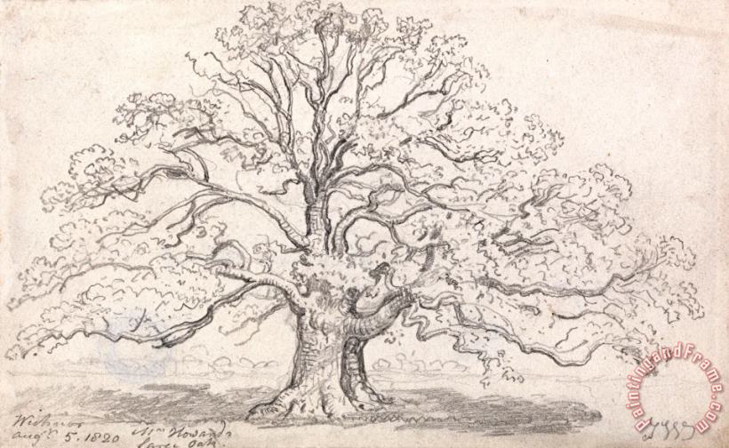 James Ward Mr. Howard's Large Oak, August 5, 1820 Art Painting