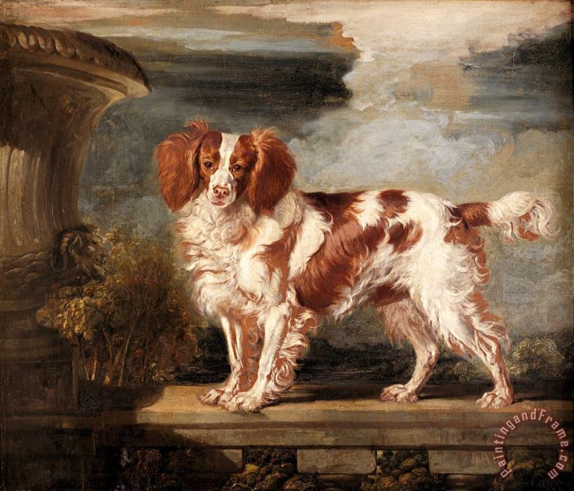 James Ward Portrait of Dash, a Favourite Spaniel, The Property of Lady Frances Vane Tempest Art Painting