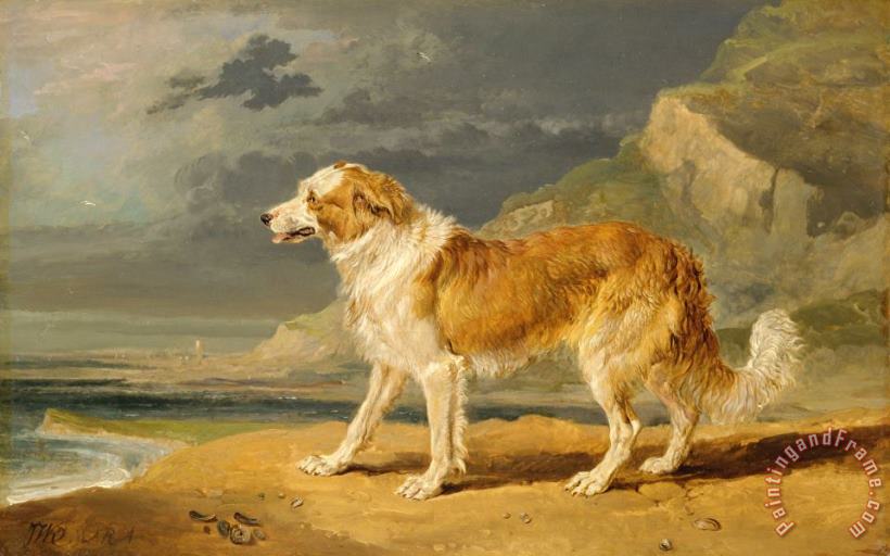 James Ward Rough Coated Collie Art Painting