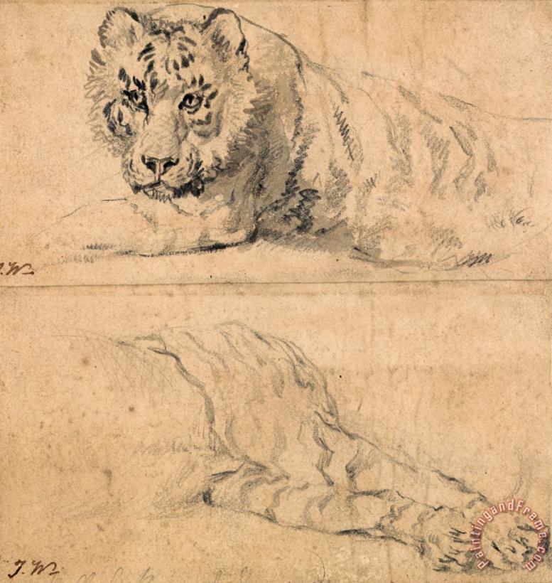 Studies of a Tiger; Above, Head And Shoulders; Below, Hindquarters painting - James Ward Studies of a Tiger; Above, Head And Shoulders; Below, Hindquarters Art Print