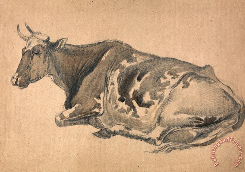 Study of a Cow painting - James Ward Study of a Cow Art Print
