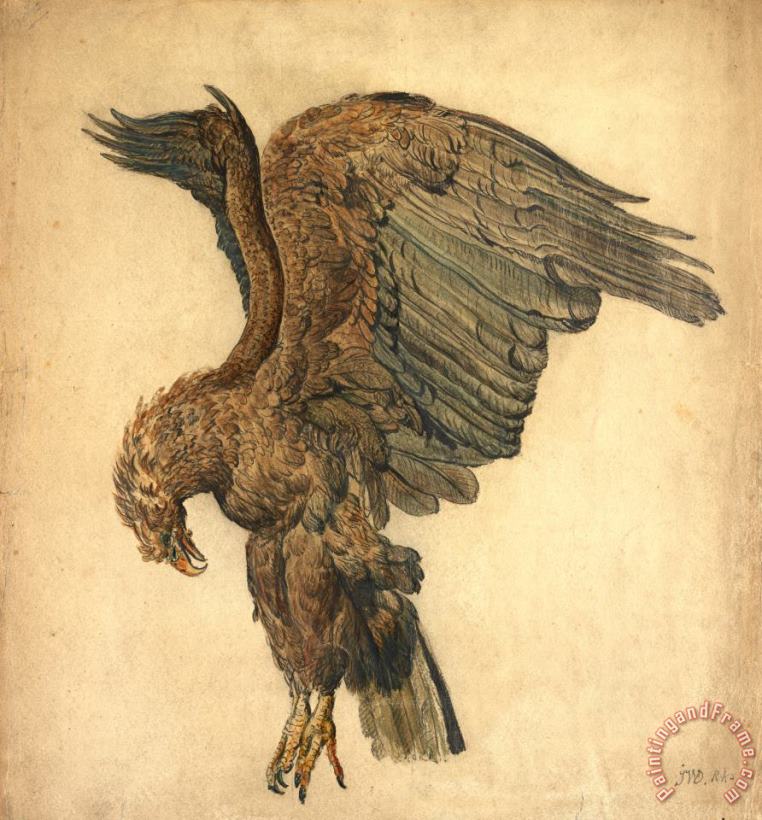 Study of a Plunging Eagle painting - James Ward Study of a Plunging Eagle Art Print