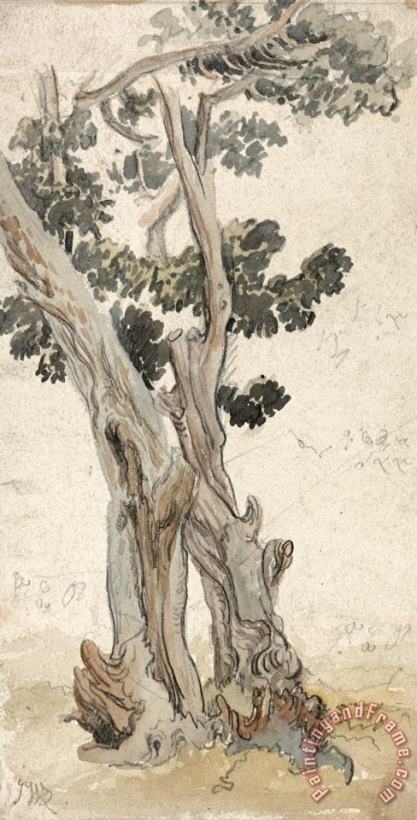 Study of a Tree painting - James Ward Study of a Tree Art Print