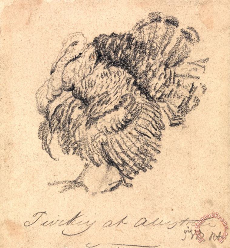 Study of a Turkey painting - James Ward Study of a Turkey Art Print