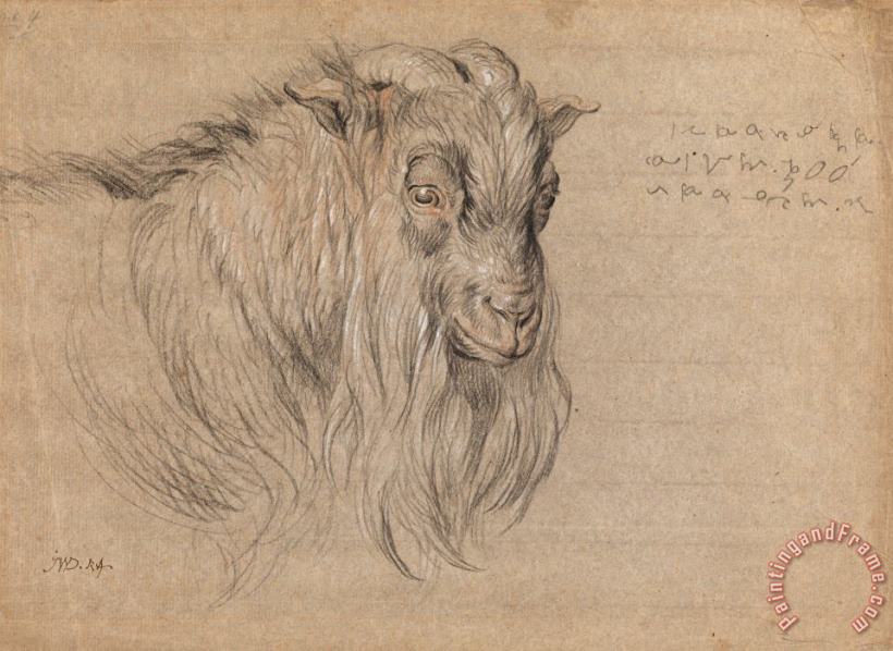 James Ward Study of The Head of a Ram Art Painting