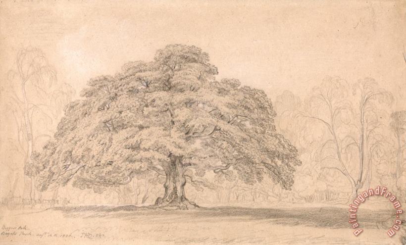 The Beggar's Oak, Bagot's Park, Aug. 12th, 1820 painting - James Ward The Beggar's Oak, Bagot's Park, Aug. 12th, 1820 Art Print