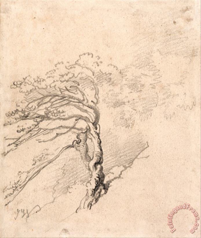 James Ward Tree on a Hillside Art Print
