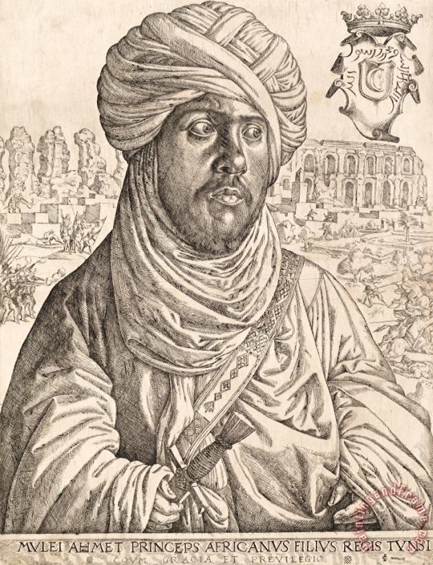 Portrait of Mulay Ahmad painting - Jan Cornelisz Vermeyen Portrait of Mulay Ahmad Art Print