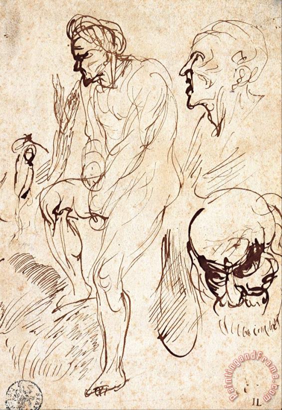 Jan Lievens Studies After The Model Art Painting