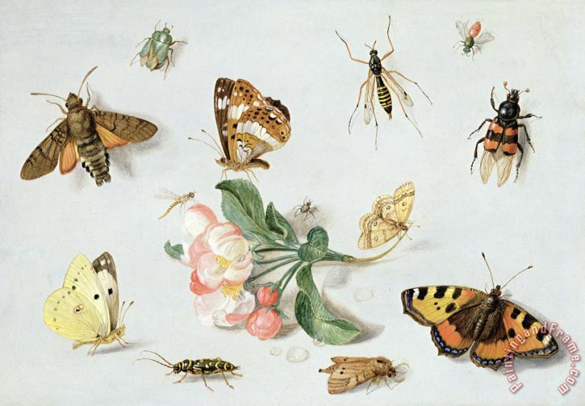Butterflies Moths And Other Insects With A Sprig Of Apple Blossom painting - Jan Van Kessel Butterflies Moths And Other Insects With A Sprig Of Apple Blossom Art Print