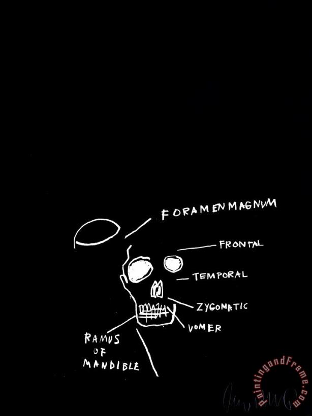 Jean-michel Basquiat Untitled Art Print